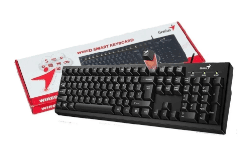 Teclado USB Genius KB-100